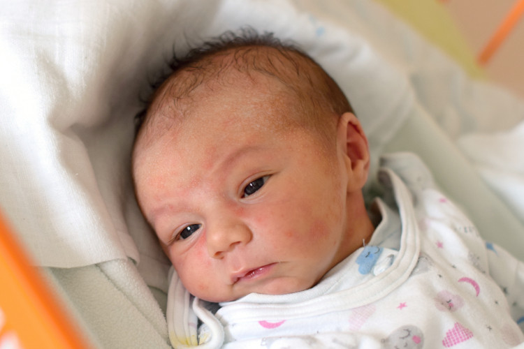 ŽELEZNÝ Jaroslav