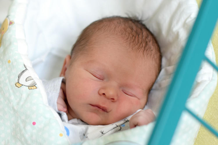 VANĚČEK Sebastian