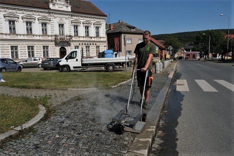 FOTOGALERIE: Ekologická likvidace plevele