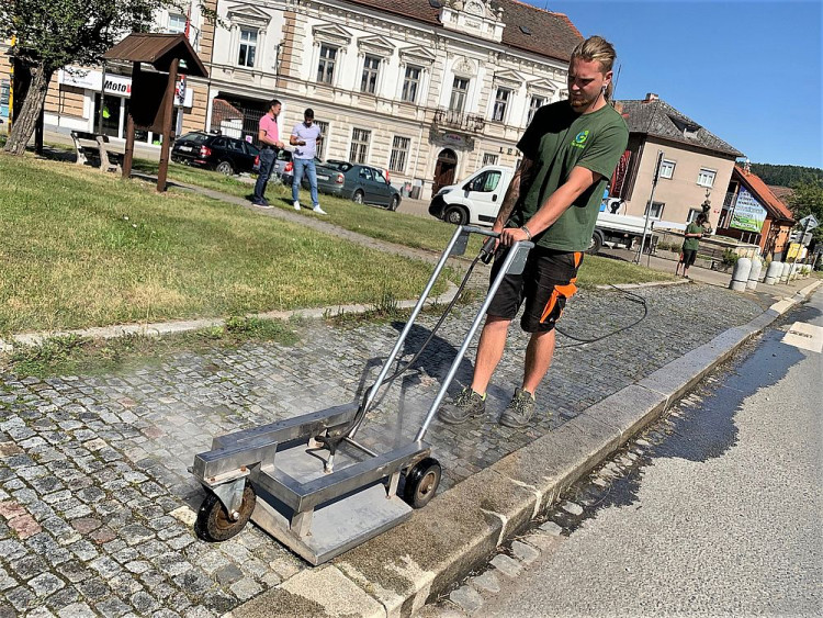 FOTOGALERIE: Ekologická likvidace plevele