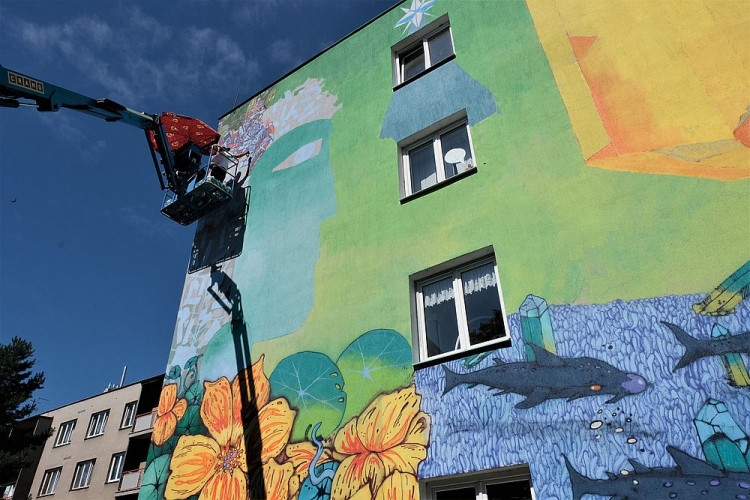 FOTOGALERIE: Street Art festival WALLZ