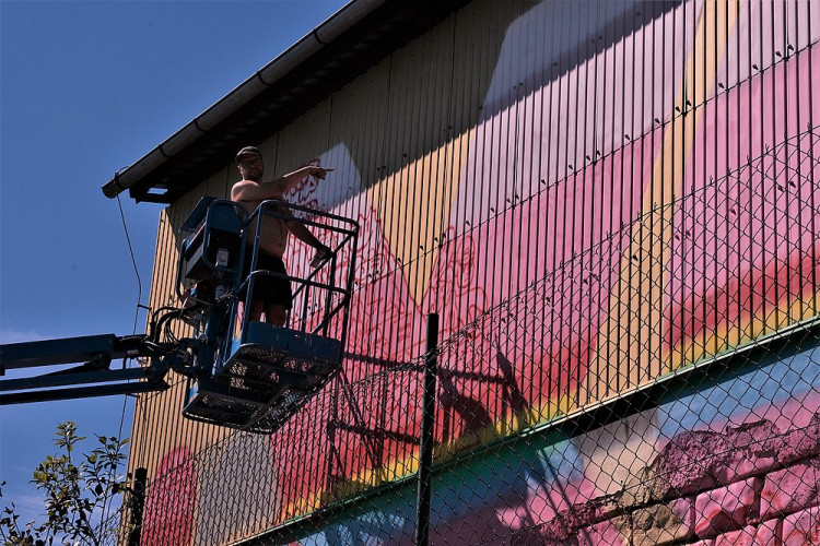 FOTOGALERIE: Street Art festival WALLZ