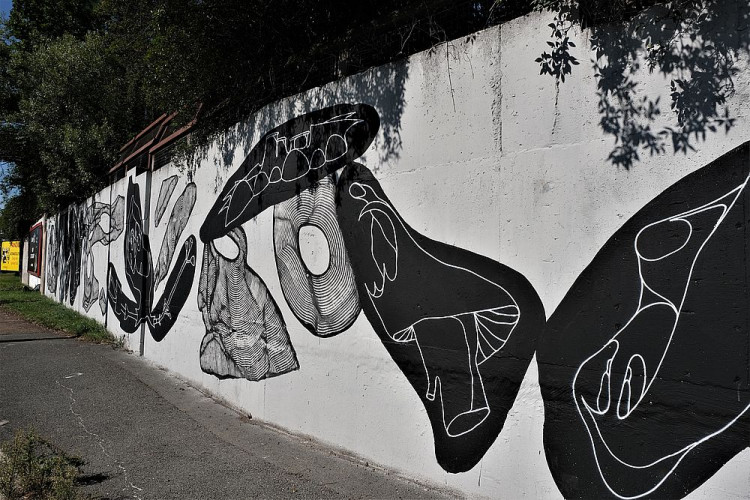 FOTOGALERIE: Street Art festival WALLZ