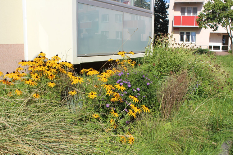 Květinová louka u panelového domu na ulici U Hřbitova 