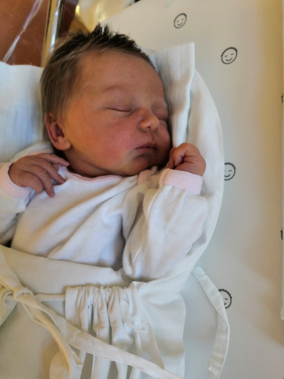 Drbňátko srpen 2020