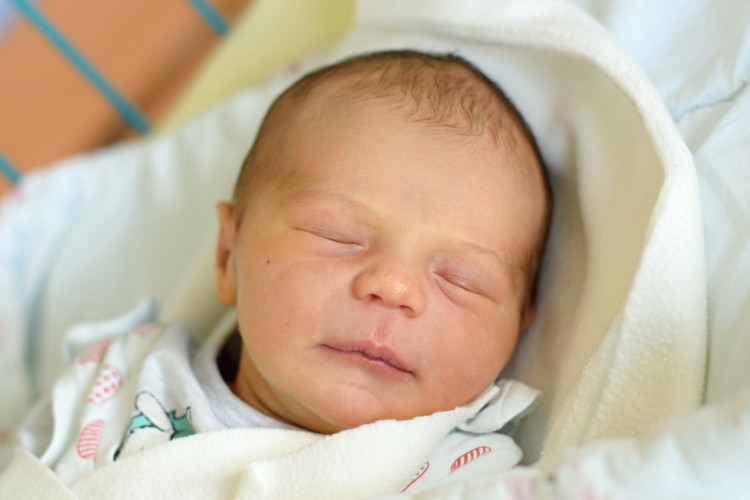 ŠLEHOFEROVÁ Sofie