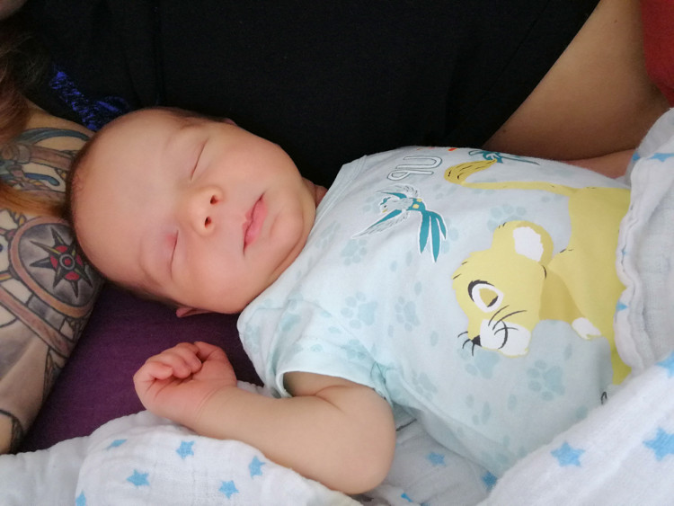 ŠLEHOFEROVÁ Sofie