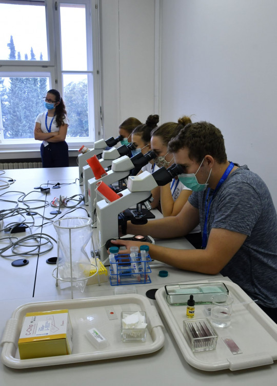 Medikemp Lékařské fakulty v Hradci Králové (2020)