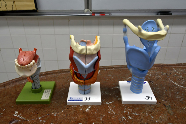 Medikemp Lékařské fakulty v Hradci Králové (2020)