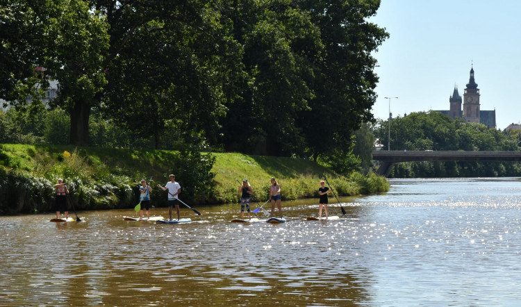 Medikemp Lékařské fakulty v Hradci Králové (2020)