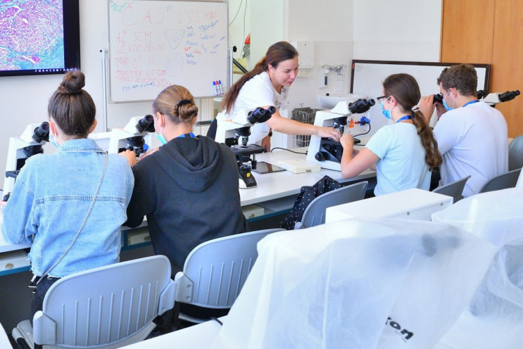 Medikemp Lékařské fakulty v Hradci Králové (2020)