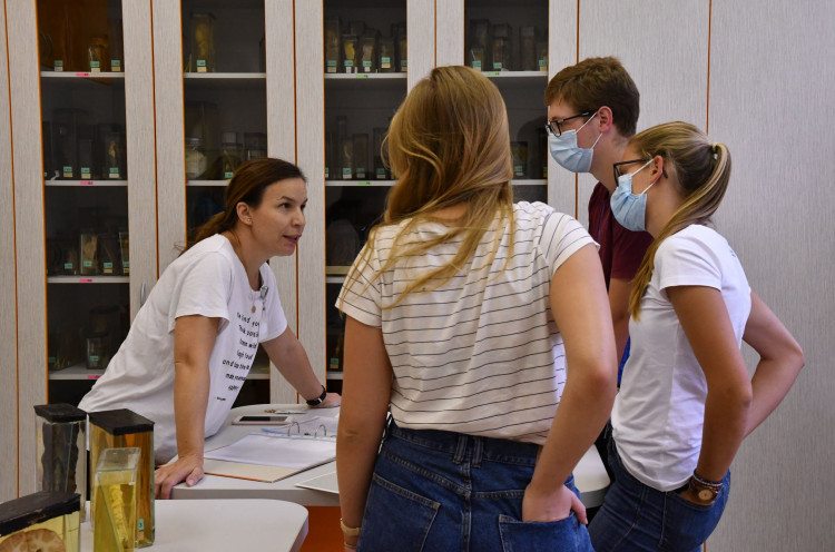 Medikemp Lékařské fakulty v Hradci Králové (2020)