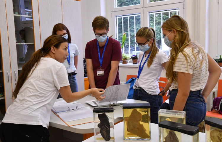 Medikemp Lékařské fakulty v Hradci Králové (2020)