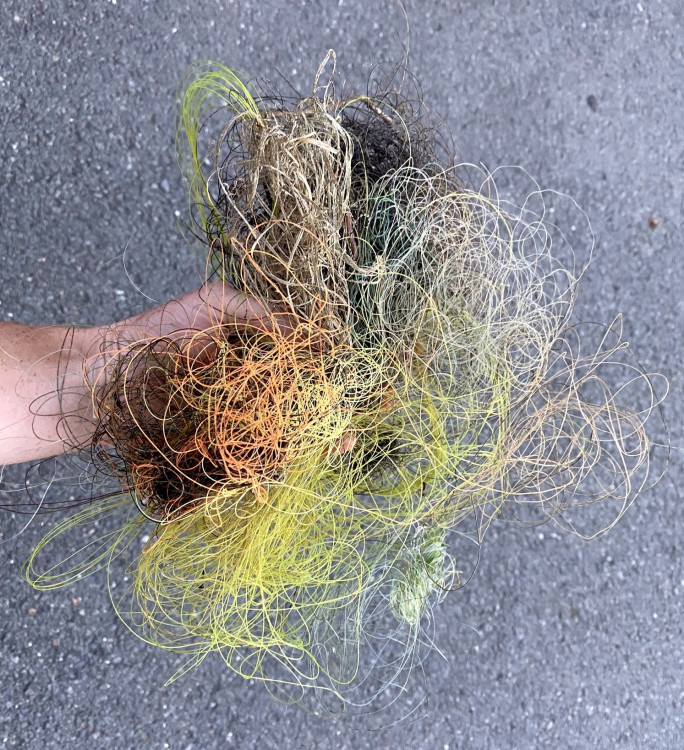 FOTOGALERIE: Transfer živočichů z vypuštěné Borské přehrady