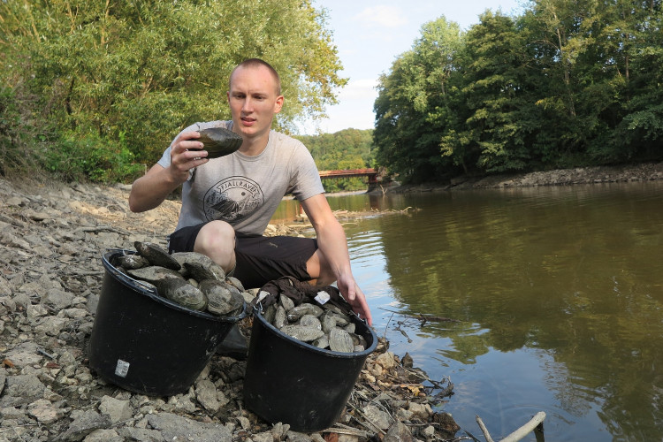FOTOGALERIE: Transfer živočichů z vypuštěné Borské přehrady