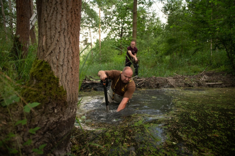 FOTOGALERIE: Zničené bobří hráze u Nýřan a jejich následná oprava