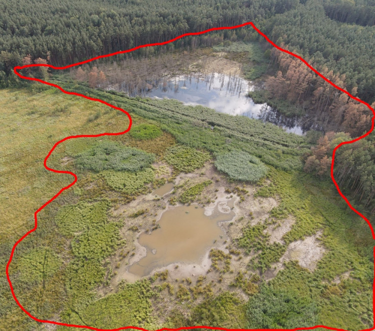 FOTOGALERIE: Zničené bobří hráze u Nýřan a jejich následná oprava