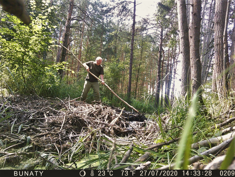 FOTOGALERIE: Zničené bobří hráze u Nýřan a jejich následná oprava