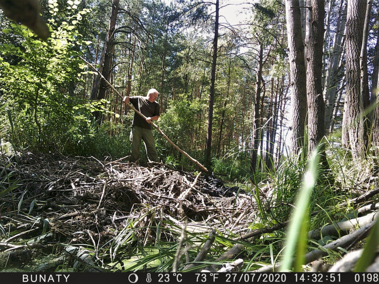 FOTOGALERIE: Zničené bobří hráze u Nýřan a jejich následná oprava