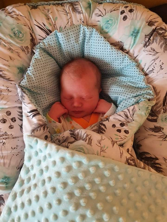 Christian Hugo Raule