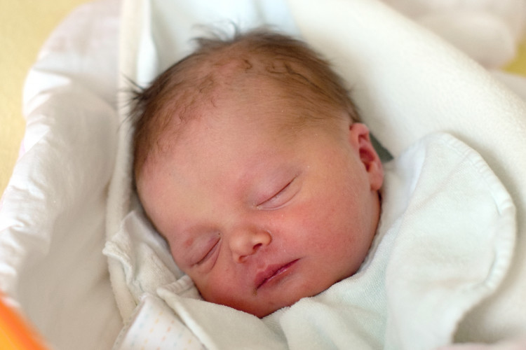 MĚŠŤANOVÁ Berenika