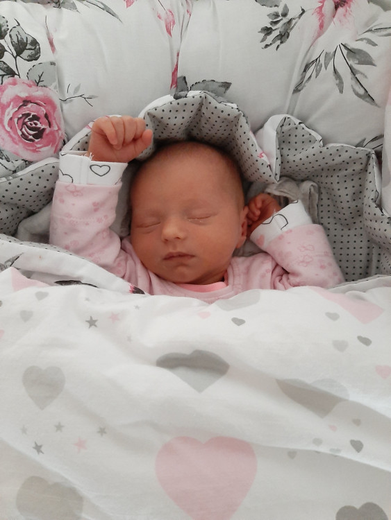 DVOŘÁKOVÁ Bella