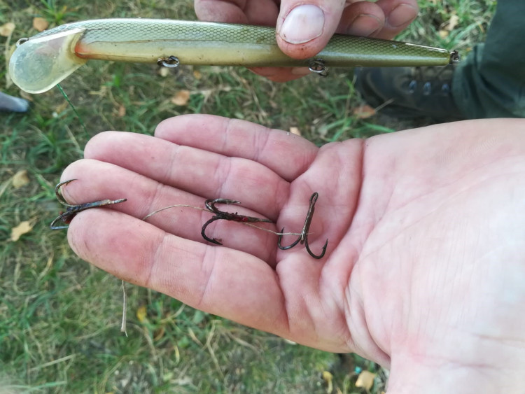 FOTOGALERIE: Labutě zraňují rybářské háčky a vlasce