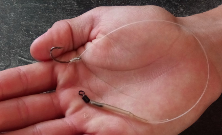 FOTOGALERIE: Labutě zraňují rybářské háčky a vlasce