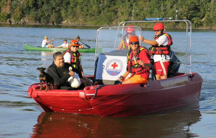 FOTOGALERIE: Labutě zraňují rybářské háčky a vlasce
