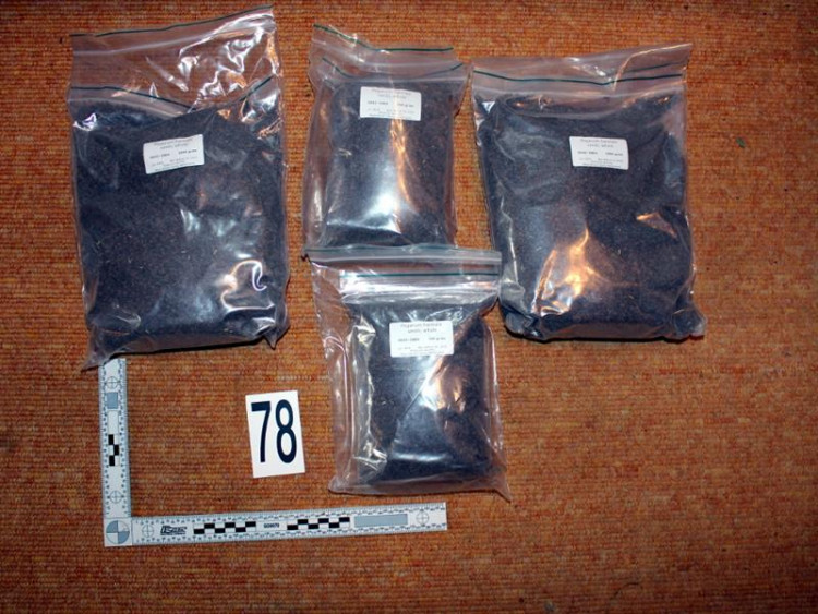 FOTOGALERIE: Zadržení členů polského gangu