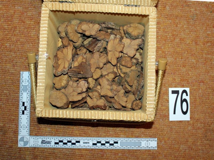 FOTOGALERIE: Zadržení členů polského gangu