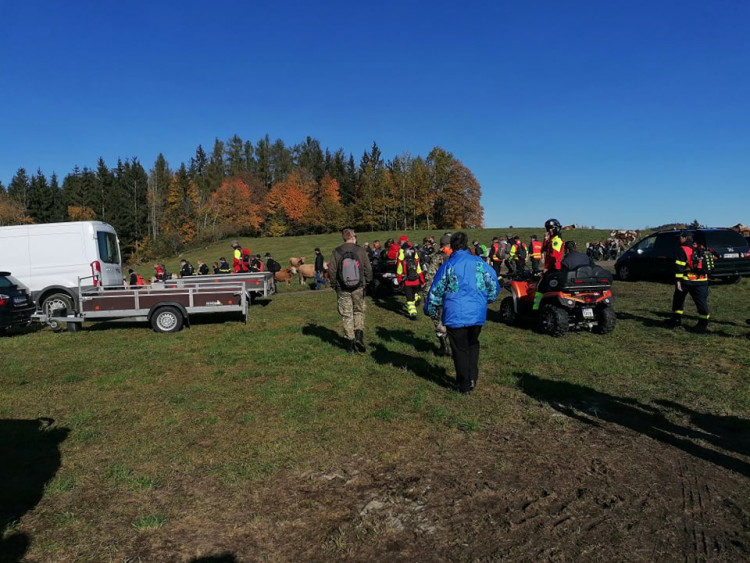 FOTOGALERIE: Pátrací akce na Šumavě