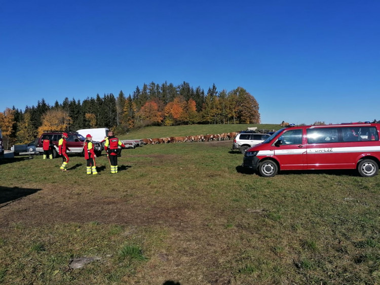 FOTOGALERIE: Pátrací akce na Šumavě