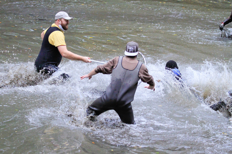 GELERIE: Odchyt pelikánů v Safari Parku Dvůr Králové nad Labem