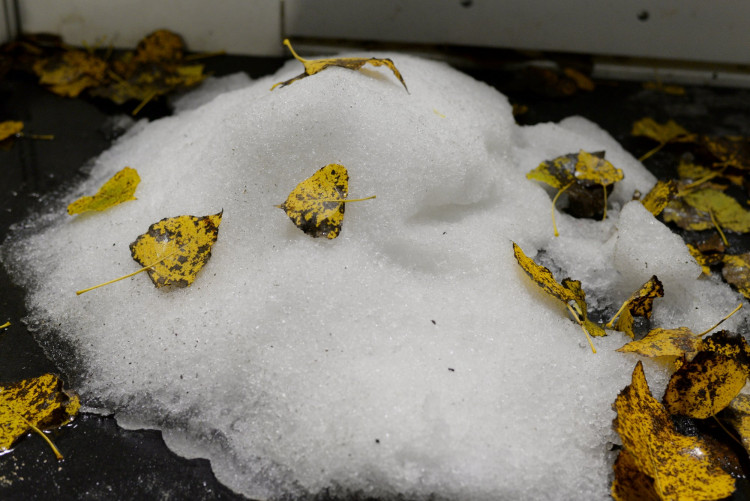 GALERIE: První trénink Mountfieldu na venkovním ledě v Dobříši