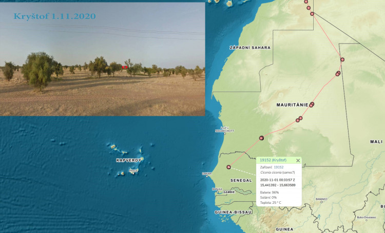 FOTOGALERIE: Čáp Kryštof cestuje do Afriky