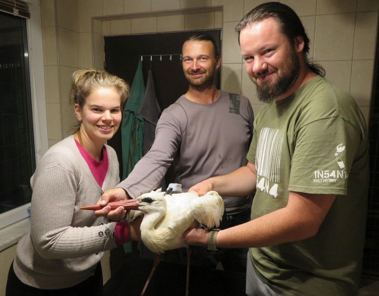 FOTOGALERIE: Čáp Kryštof cestuje do Afriky