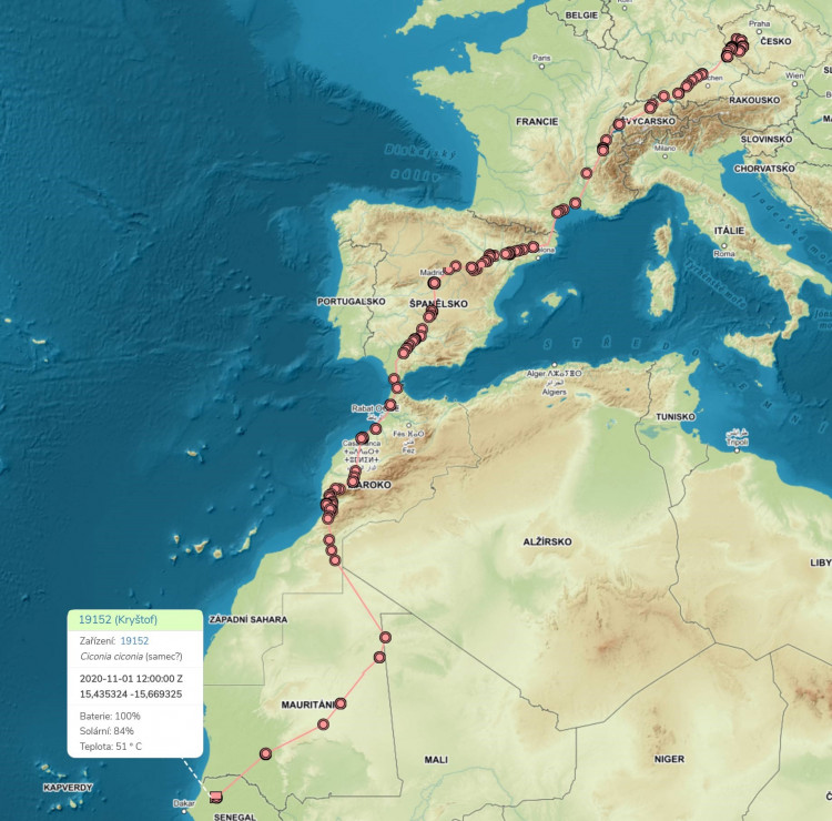 FOTOGALERIE: Čáp Kryštof cestuje do Afriky