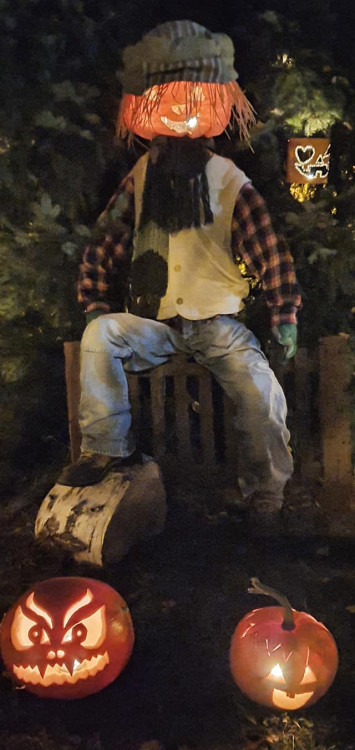 Podzim na ulici Leoše Janáčka