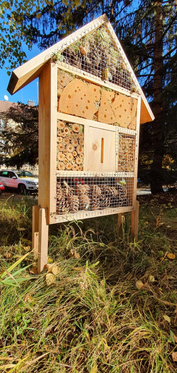 Podzim na ulici Leoše Janáčka