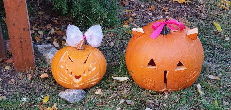 Podzim na ulici Leoše Janáčka