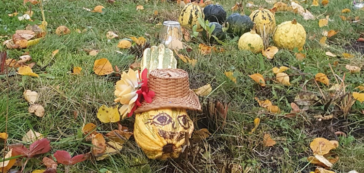 Podzim na ulici Leoše Janáčka