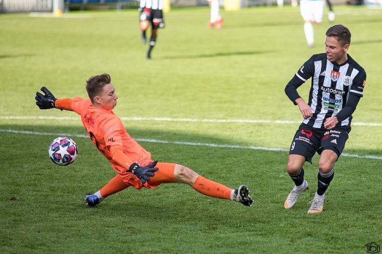 Dynamo si v přípravě poradilo s Táborskem