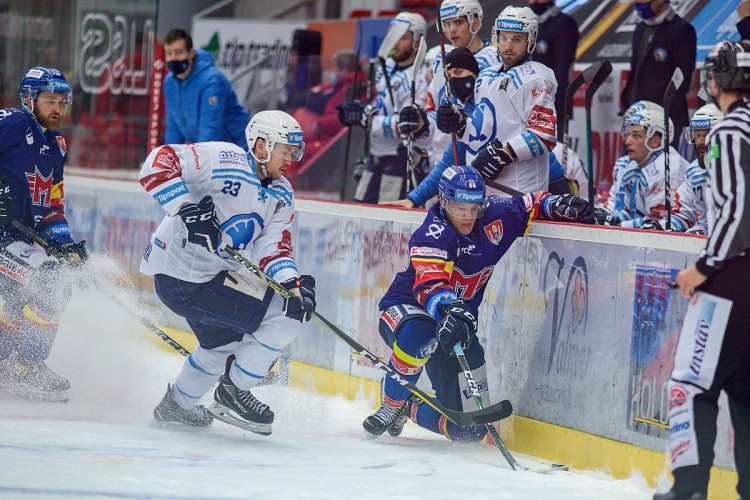 FOTOGALERIE: Madeta Motor ČB - HC Škoda Plzeň