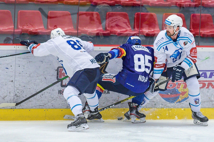 FOTOGALERIE: Madeta Motor ČB - HC Škoda Plzeň