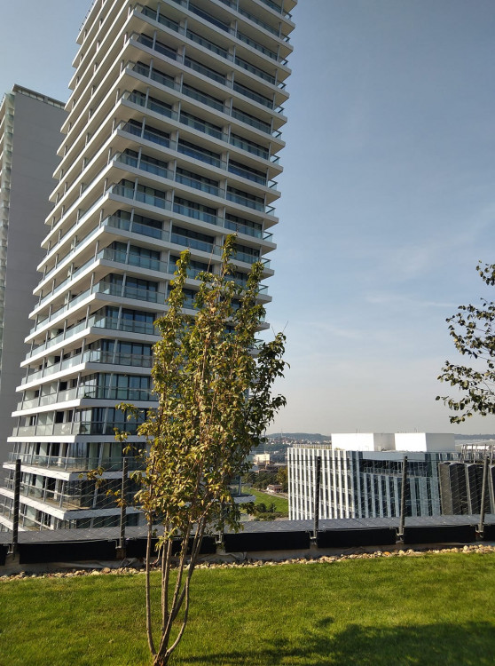 FOTOGALERIE: Jaký výhled z okna mají Pražané? Odpadky, parkoviště i krásné západy slunce