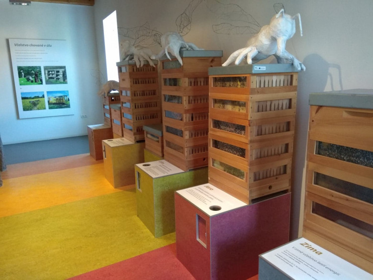 Včelí svět v Hulicích