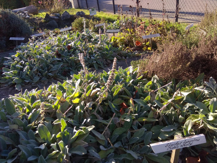 Včelí svět v Hulicích