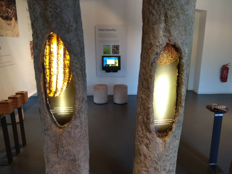 Včelí svět v Hulicích