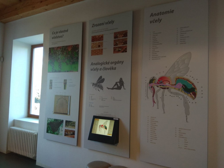 Včelí svět v Hulicích